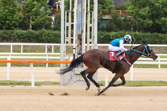 결승선을 통과하는 골든파워. 사진=한국마사회 부산경남 제공