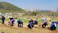 화성시, “시민과 함께 심은 꽃밭 보러오세요”