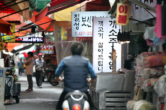 대구 북구 칠성시장의 보신탕 골목. 사진=연합뉴스