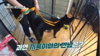 '개는 훌륭하다' 영탁, 펜스 넘을 듯 짖는 '끼룩'에게 놀라