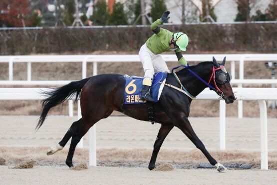 라온퍼스트. 사진=한국마사회 부산경남본부 제공