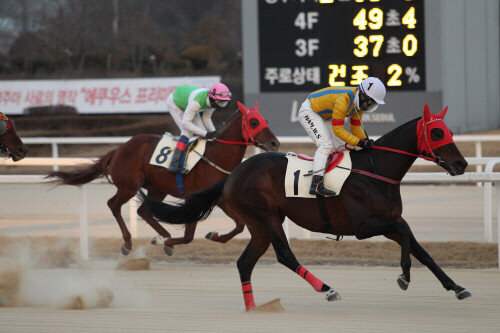 경주 모습으로 기사의 특정 내용과 관련 없음. 사진=한국마사회 제공