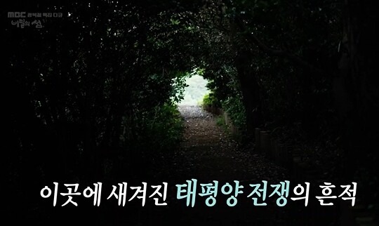 사진=MBC 비밀의 섬 지심도