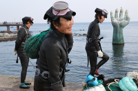 경북도, '나잠어업실태조사' 개발 …전국 최초 국가통계 승인