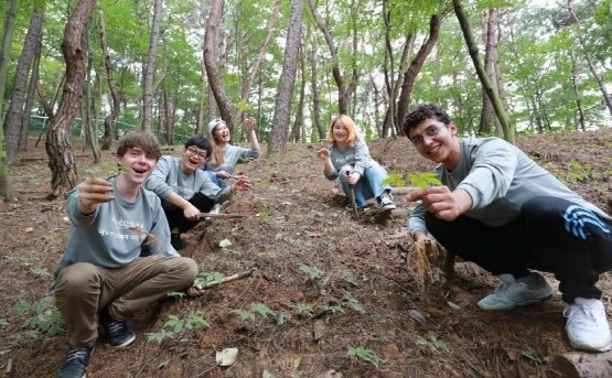 함양 산삼축제 참고 이미지. 사진=경남도 제공