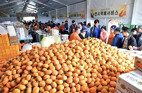 '청도반시축제' 사진=경북도 제공