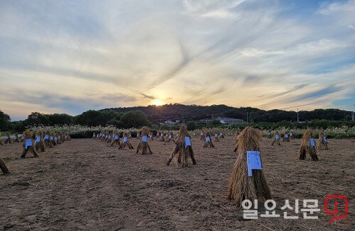 축제 참가자들의 소원을 담은  작은 달집. 사진=유인선 기자