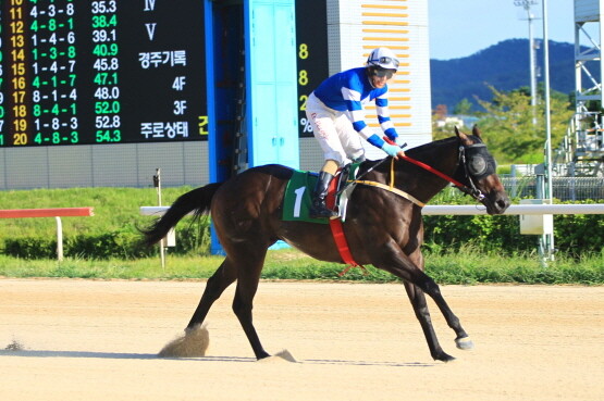 판타스틱킹덤. 사진=부산경남경마공원 제공