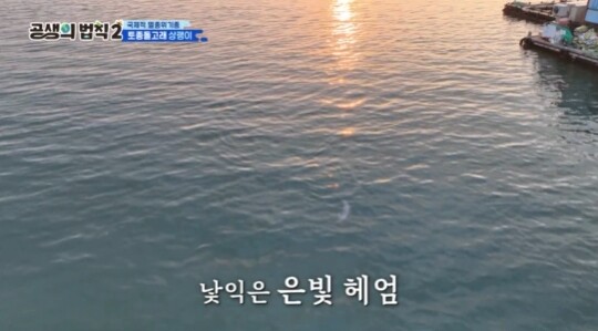 사진=SBS 공생의 법칙2