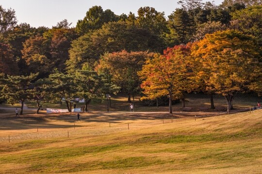 올림픽공원은 호수와 넓은 잔디밭 중심으로 산책로와 숲들이 잘 조성되어 있다. 잔디밭과 단풍이 어우러져 이국적이다. 사진=서울관광재단 제공