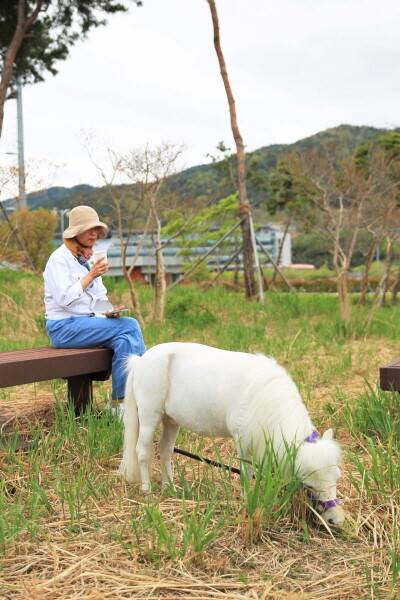 홀스테라피 이미지. 사진=한국마사회 부산경남본부 제공