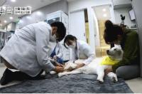 ‘동물극장 단짝’ 헌혈견들의 행복한 보금자리, 반려견 헌혈 문화 자리 잡기를