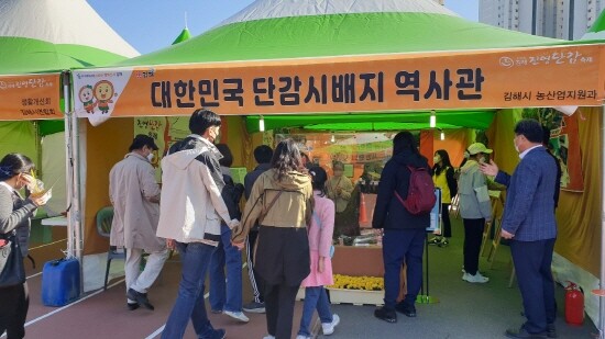 제38회 김해진영단감축제 진행 모습. 사진=김해시 제공