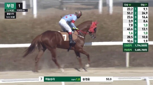 하늘승리는 11월 4일 실전 두 번째 경주에서 여유 있게 2위를 기록해 관심을 가져볼 만하다. 사진=한국마사회 경마방송 캡처