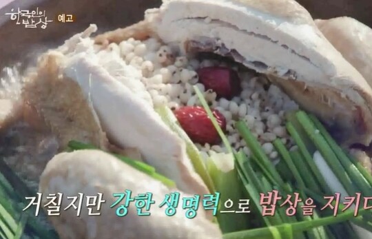 사진=KBS 한국인의 밥상