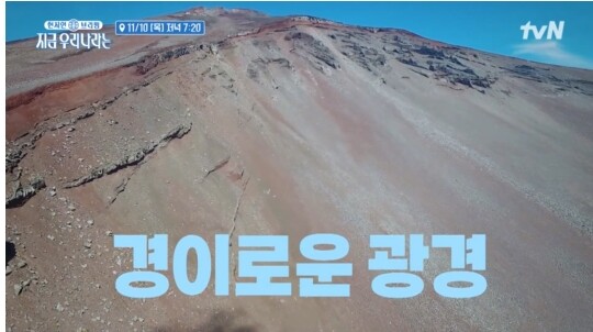 사진-tvN 지금 우리나라는