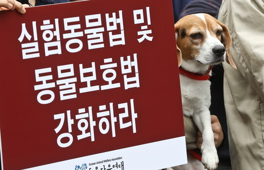 세계 실험동물의 날인 24일 서울 관악구 서울대 수의생물자원연구동 앞에서 동물보호단체 회원들이 '이병천 교수 파면 촉구' 기자회견을 열고있다. 사진=일요신문DB