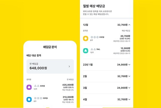 카카오페이가 미국 주식·ETF를 대상으로 배당금 분석 서비스를 출시했다. 사진=카카오페이 제공