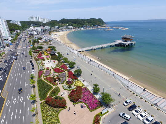 영일대 장미원. 사진=포항시 제공