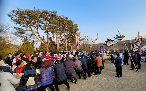 이천시의 오랜 전통을 이어온 '용 줄다리기'. 사진= 유인선 기자