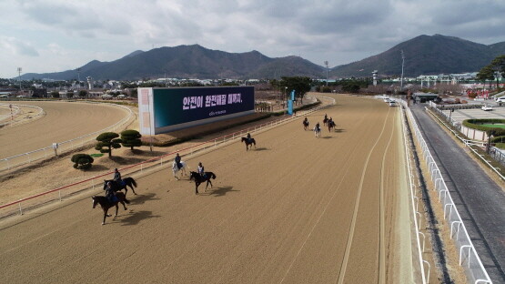 한국마사회 김홍기 경마본부장이 말관리사, 기수, 조교사와 함께 직접 말에 기승해 경주로 안전을 점검했다. 사진=한국마사회 부산경남본부 제공