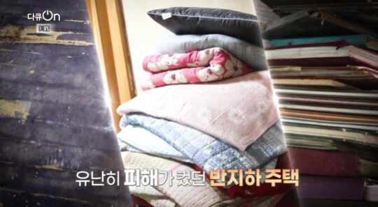 사진=KBS 다큐온