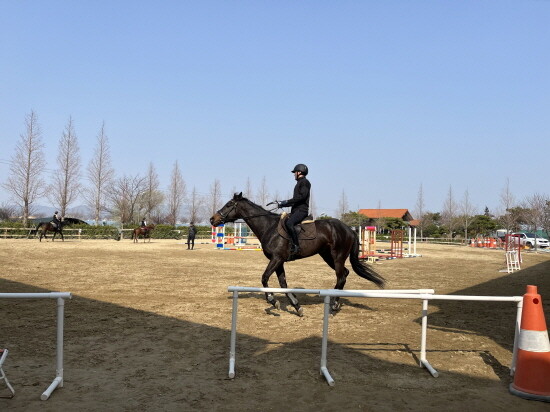 학생승마체험 실시 모습. 사진=김해시 제공