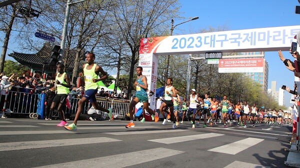 지난 2일 '2023 대구국제마라톤대회'에서 엘리트 선수들이 출발하고 있다. 사진=대구시 제공