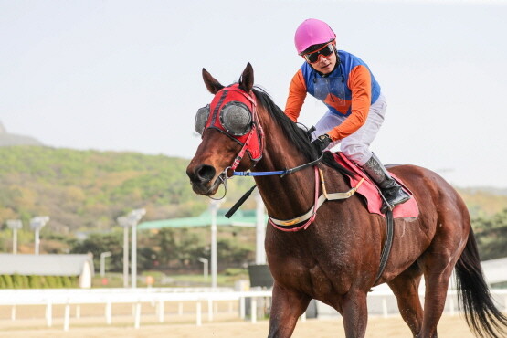 23년 헤럴드경제배 우승마 위너스맨과 서승운 기수. 사진=한국마사회 부산경남본부 제공