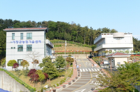 기장군농업기술센터. 사진=기장군 제공