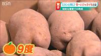 ‘이게 귤이야 감자야’ 일본 9브릭스 당도 감자의 비밀