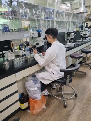 소나무재선충병 현미경 검경 및 미감염확장면. 사진=경남도 제공