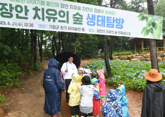 ‘숲 해설과 함께하는 생태탐방 프로그램’ 시범운영 장면. 사진=기장군 제공