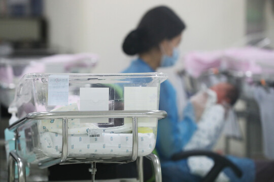 서울의 한 병원 신생아실. 사진=연합뉴스