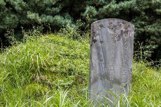 경기 고양시 대자동에 위치한 조선 왕 효종의 딸 숙휘공주와 남편 정제현 합장묘의 지난 7월 17일 모습. 묘비에 淑徽公主(숙휘공주)라 새겨져 있다. 사진=최준필 기자