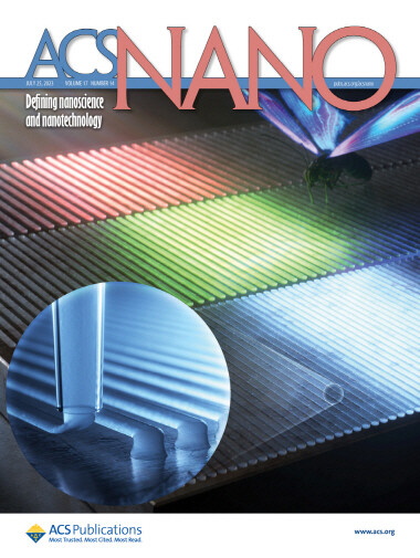 'ACS Nano' 표지논문 게재 모습. 사진=한국전기연구원 제공