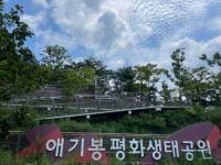 김포시, 애기봉평화생태공원 연계 체험·관광상품 운영 개시