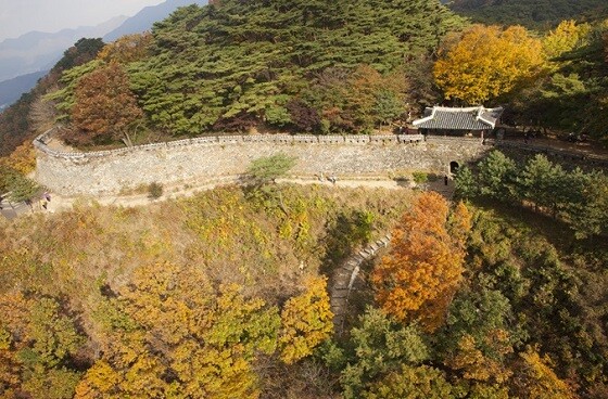 광주 남한산성 소나무숲. 사진=경기도 제공