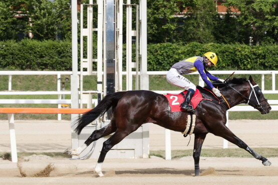 투혼의반석. 사진=한국마사회 부산경남본부 제공