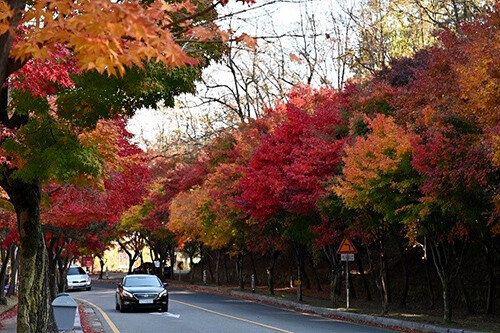 팔공산 순환도로. 사진=대구시 제공