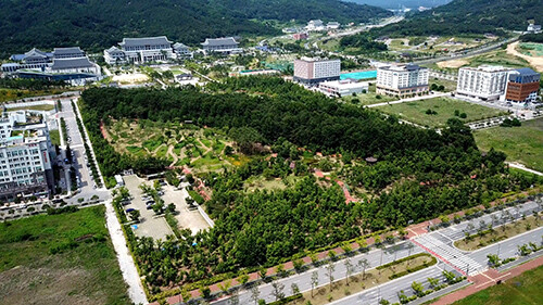 '경북도청신도시 천년숲' 전경. 사진=경북도 제공