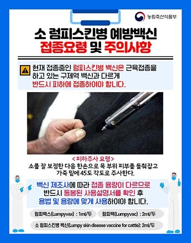 소 럼피스킨병 예방백신 접종요령 및 주의사항. 사진=경북도 제공