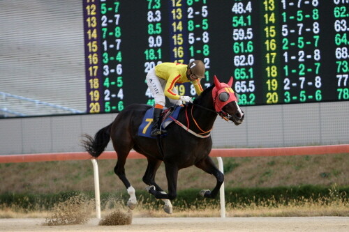 제5회 김해시장배 우승마 한강클래스. 사진=한국마사회 부산경남본부 제공