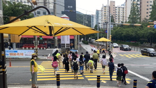 내년 1월까지 ‘스쿨존 노란색 횡단보도’ 전면 설치. 사진=김해시 제공