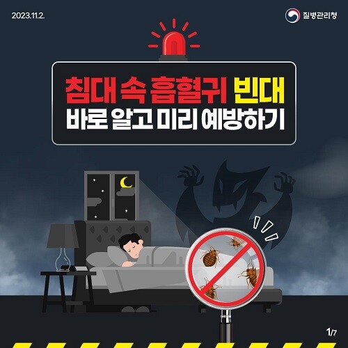 빈대 예방 포스터. 사진=대구시 제공