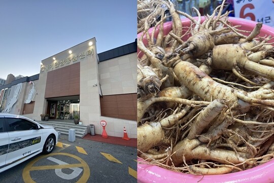 영주역 가는 길에 인삼센터에 들러 풍기인삼을 사갈 수도 있다. 사진=이송이 기자