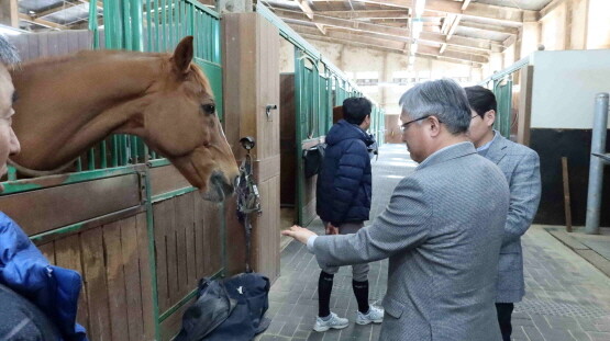 제주축산진흥원 임직원들이 렛츠런파크 부산경남 승마랜드를 견학하고 있다. 사진=한국마사회 부산경남본부 제공