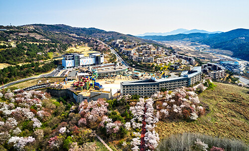 벚꽃 동산과 어우러진 블루원리조트 전경. 사진= 블루원 제공