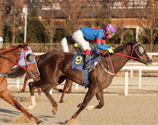 걸작원. 사진=한국마사회 부산경남본부 제공