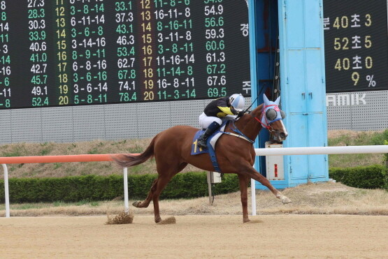 이클립스베리. 사진=렛츠런파크 부산경남 제공